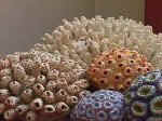 Pottery 5